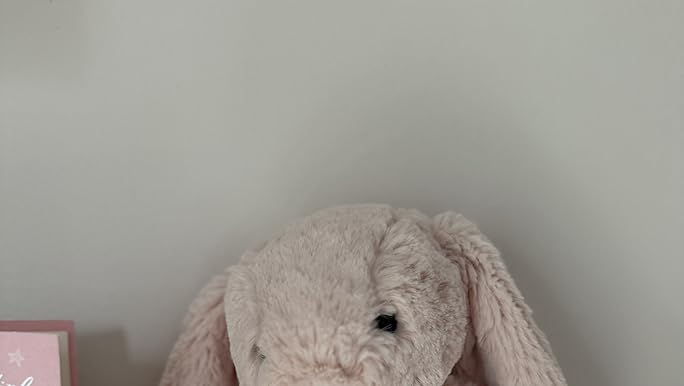 Amazon.com: Jellycat Bashful Blush Bunny Stuffed Animal